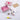 Natural Wooden Blocks & Dyed Printing Kit