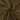 Deep Olive Brown Cotton Flex Fabric for Men's Clothing