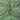 Green Floral Hand Block Printed Fabric Cloth