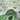 Green Floral Hand Block Printed Fabric Cloth