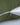 Plain Green Cushion Covers Set of 5 Online