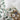 Premium Indian Kantha Quilt