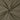 Light Grey Plain Cotton Fabric