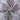 Soft Hand Floral Pure Cotton Block Print Fabric Online