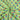 Soft Green Floral Hand Block Print Fabric Online