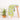 Premium Green Floral Block and Prints Cotton Fabric Online