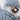 Blue Hand Block Floral Queen Size Duvet Cover & Shams