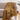 Orange Bird Print Sofa Throws Online
