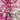 Tie Dye Shibori Pure Cotton Fabric for Cloth