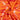 Tie and Dye Orange Shibori Print Dress Material