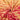 Tie and Dye Organic Cotton Fabric for Dress Material Online