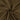 Deep Olive Brown Cotton Flex Fabric for Men's Clothing