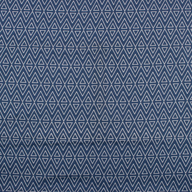 Ikat Indigo Block Print Fabric