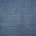 Softest Printed Indigo Fabric